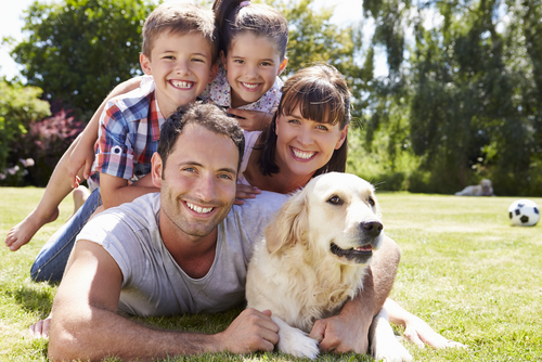 What is the Difference Between Group Term Life Insurance and Term Life Insurance?