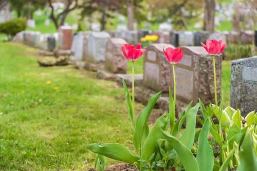 Burial Insurance Benefits