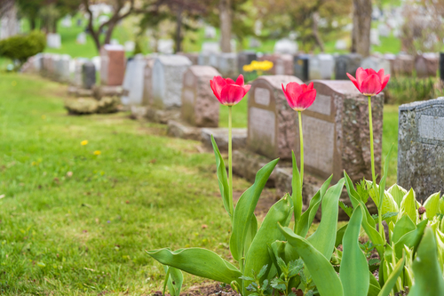 Burial Insurance in North Dakota